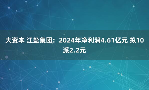 大资本 江盐集团：2024年净利润4.61亿元 拟10派2.2元