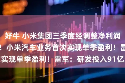好牛 小米集团三季度经调整净利润同比大增809%！小米汽车业务首次实现单季盈利！雷军：研发投入91亿元